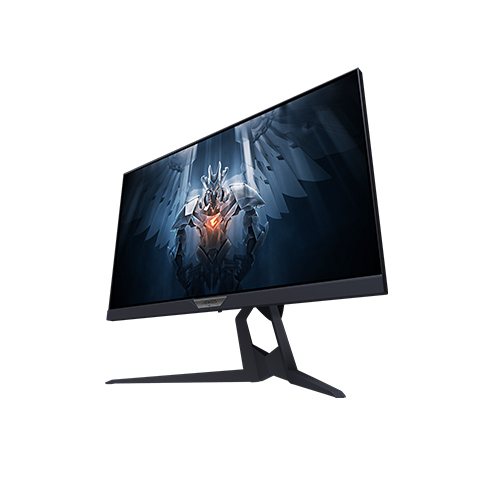 Gigabyte Aorus FI25F 2‎4.5-inch Full HD Ips 2‎40hz Gaming Monitor