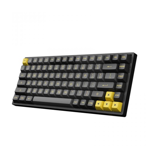 Akko Black and Gold 3084B Plus Akko CS Switch