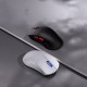 DAREU A950 Air | PAW3395 | 1KHz 35g Gaming Mouse