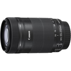 Canon EF-S 55-250mm f/4-5.6 IS STM Telephoto Zoom Lens