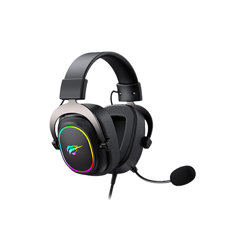 HAVIT H2002P RGB GAMING HEADSET