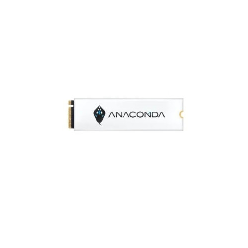 ANACOMDA i3 256GB Gen3x4 M.2 2280 PCIe SSD With Heatsink