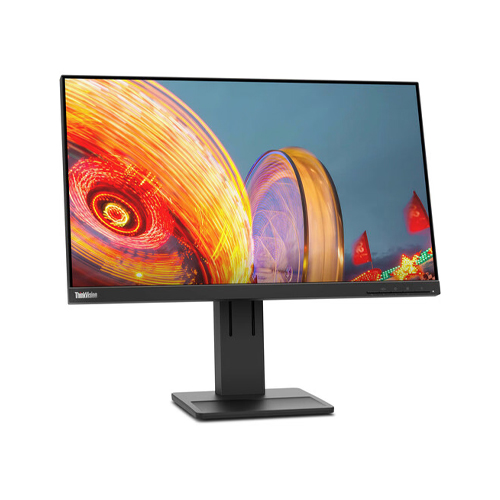 Lenovo ThinkVision E24q-20 23.8-inch 2K QHD Monitor