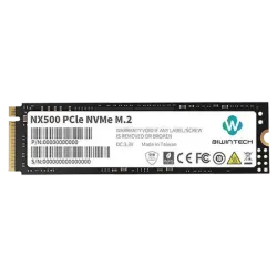 Biwintech NX500 256GB PCIe NVME M.2 SSD