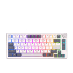 Royal Kludge RK-H81 Tri-Mode RGB 81 Keys Hot Swappable Mechanical Keyboard White Night