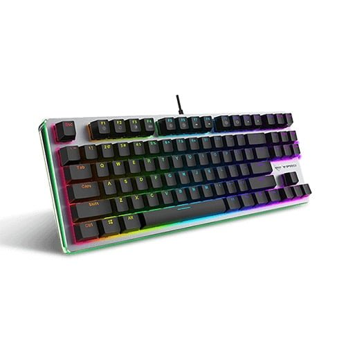 Rapoo V500 TKL RGB Backlit Mechanical Gaming Keyboard